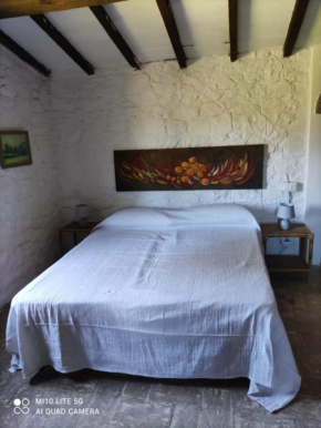 casa susan